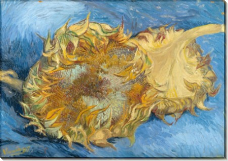 Два срезанных подсолнуха (Still Life with Two Sunflowers), 1887 - Гог, Винсент ван