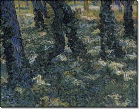 Стволы деревьев с плющом (Undergrowth), 1889 - Гог, Винсент ван