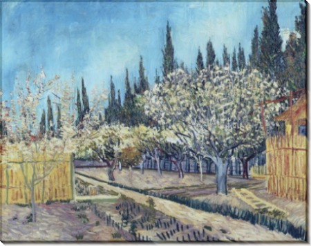 Фруктовый сад в цвету в обрамлении кипарисов (Orchard in Blossom, Bordered by Cypresses), 1888 - Гог, Винсент ван