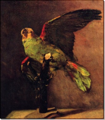 Зеленый попугай (The Green Parrot), 1886 - Гог, Винсент ван