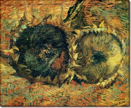 Два срезанных посолнуха (Still Life with Two Cutted Sunflowers), 1887 - Гог, Винсент ван