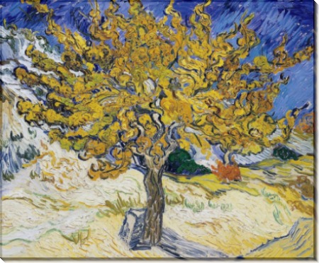 Тутовое дерево (Mulberry Tree), 1889 - Гог, Винсент ван