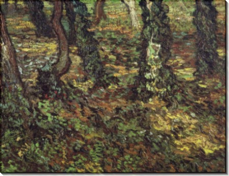 Подлесок и плющ (Tree Trunks with Ivy), 1889 - Гог, Винсент ван