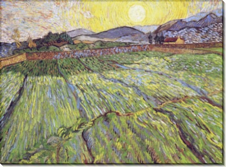 Огороженное поле с восходящим солнцем (Enclosed Field with Rising Sun), 1889 - Гог, Винсент ван