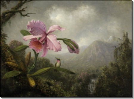 Картина Орхидея и колибри у водопада - Хед, Мартин Джонсон