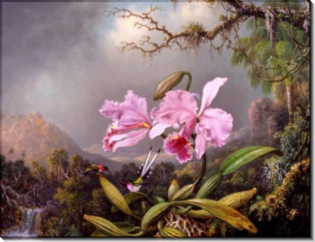 Орхидея и колибри на фоне пейзажа - Хед, Мартин Джонсон