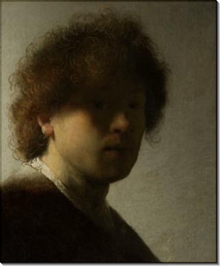Автопортрет в юном возрасте - Рембрандт, Харменс ван Рейн