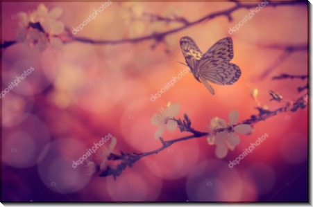 Бабочка с цветущей веткой