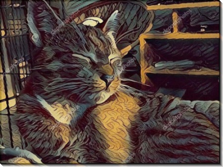 Спящий кот