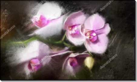 Картина Орхидея на темном фоне