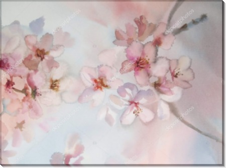 Цветы сакуры