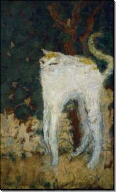 Белый кот - Боннар, Пьер