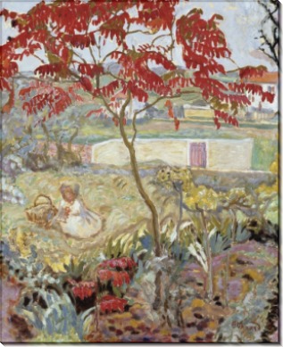 Сад с красным деревом - Боннар, Пьер