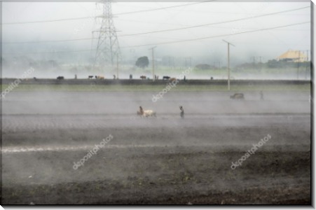 Вспахивание поля в утреннем тумане - Сток