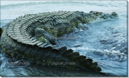 Большой крокодил - Сток