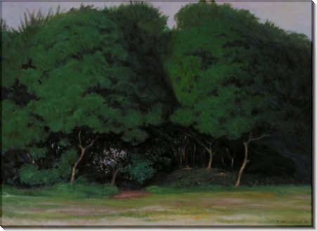 Кустистые деревья - Валлоттон, Феликс 