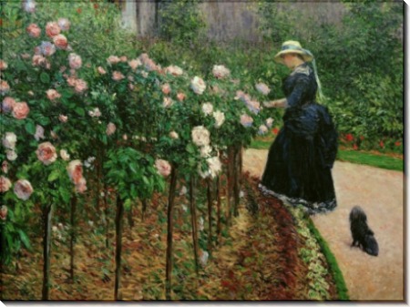 Розы в саду Пти-Женвильер - Кайботт, Густав