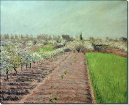 Цветущие яблони, холм Коломб - Кайботт, Густав