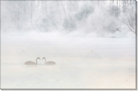 Снег и туман - Сток