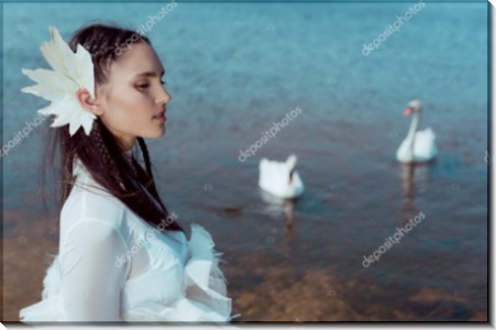 Девушка в белом и лебеди - Сток