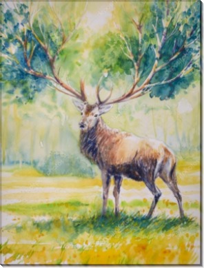 Лесной дух - Сток