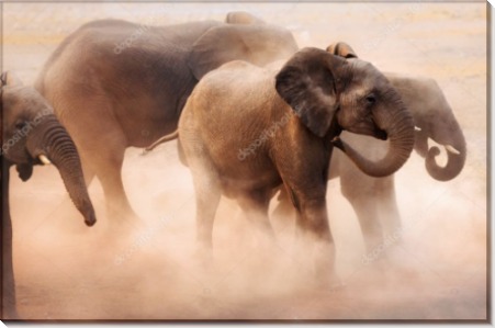 Слоники в пыли - Сток