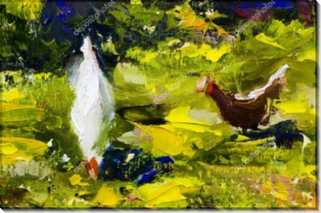 Две курицы на зеленой траве - Сток