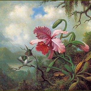 картины с орхидеями известных художников