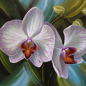 орхидея на картинах художников