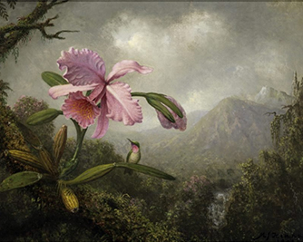Картина «Пейзаж с орхидеей и колибри» Мартин Джонсон Хед