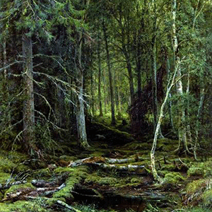 картина лес